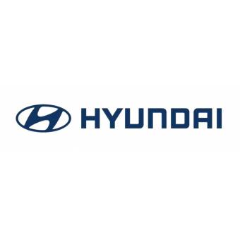 Гидроразводка на экскаватор Hyundai R800LC-9 FS